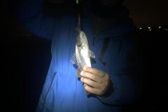 IMG-20240125-WA0009