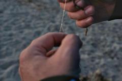 IMG-20240416-WA0130