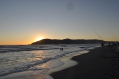 IMG-20250202-WA0031
