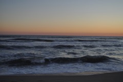 IMG-20250202-WA0093