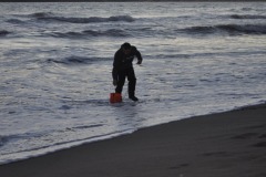 IMG-20250202-WA0095
