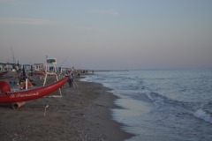 IMG-20250203-WA0044