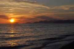 IMG-20250203-WA0074